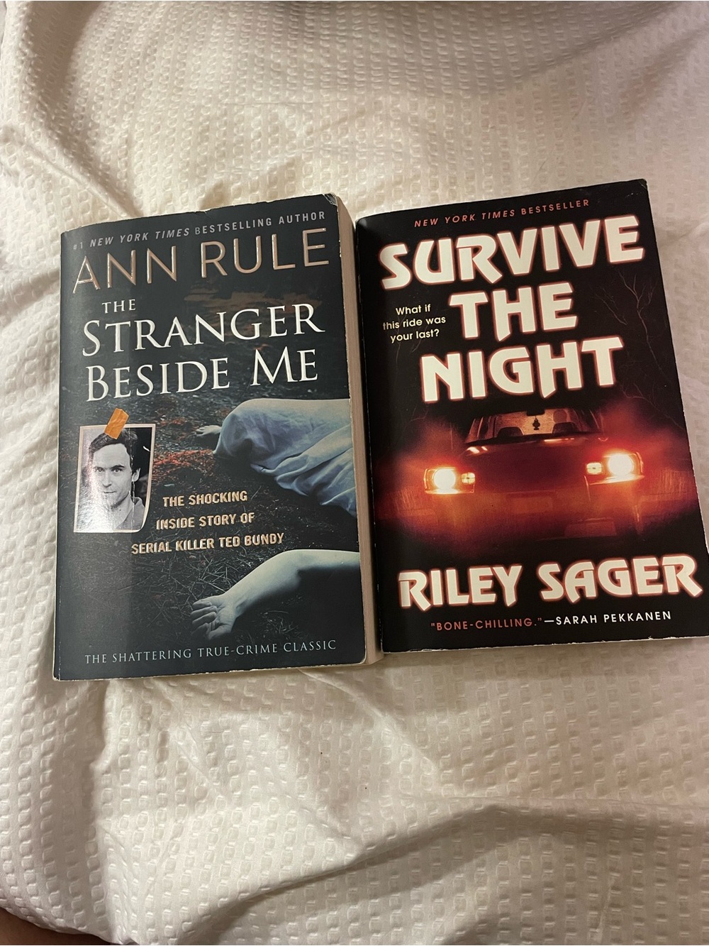 The Stranger Beside Me Anne Rule and Riley Sager book bundle